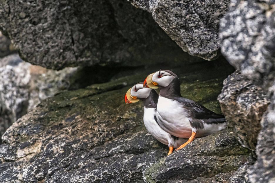 фото img_68a813aa9802e.jpg