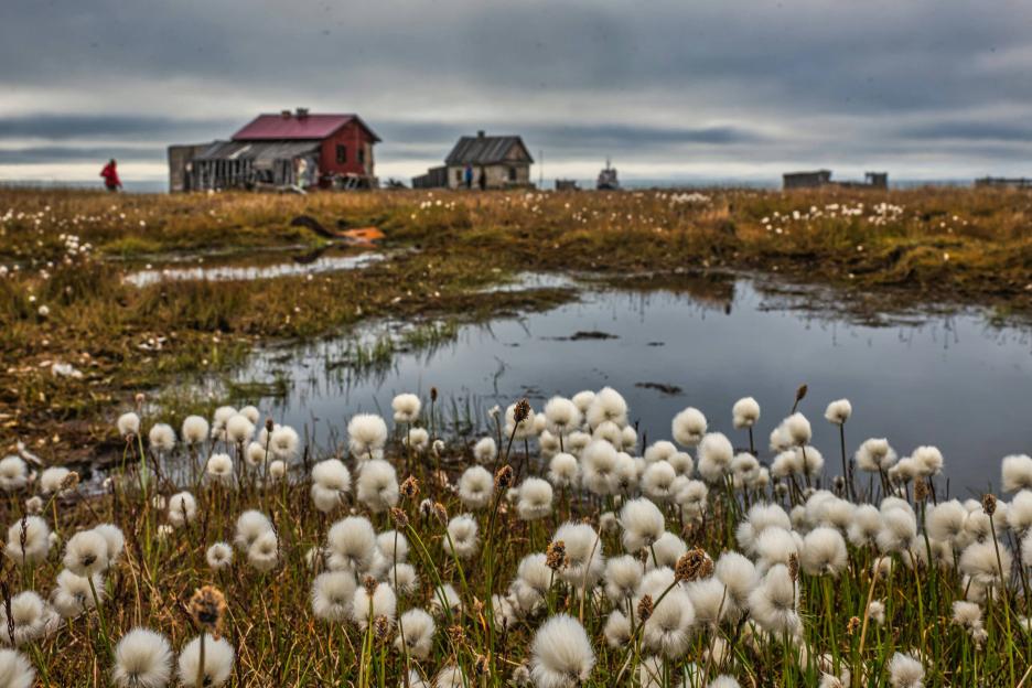 фото img_68a813ae0a307.jpg