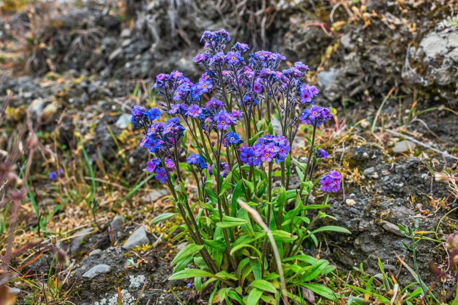 фото img_68a813afcc864.jpg