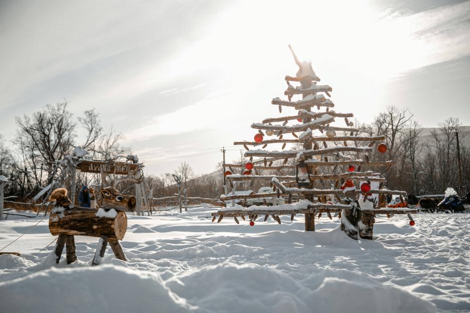 фото img_68d2a0eb05552.jpg