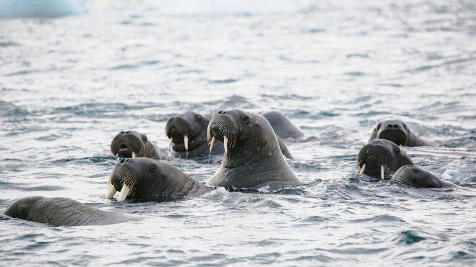 фото img_68fa1241833fc.jpg