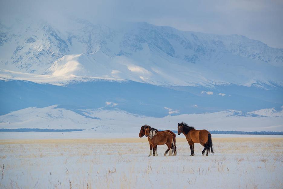 фото img_6900c61e8a7e7.jpg