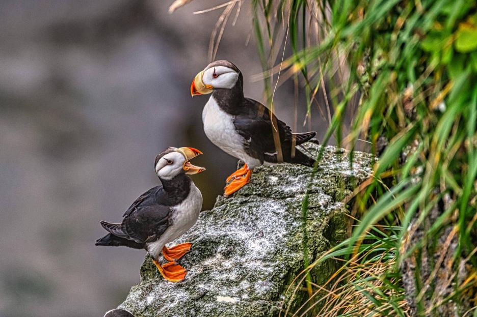 фото img_6901fb250d953.jpg