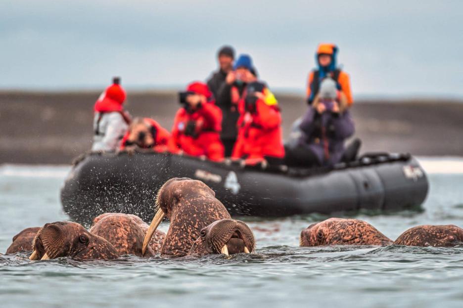 фото img_6902000b9cda1.jpg