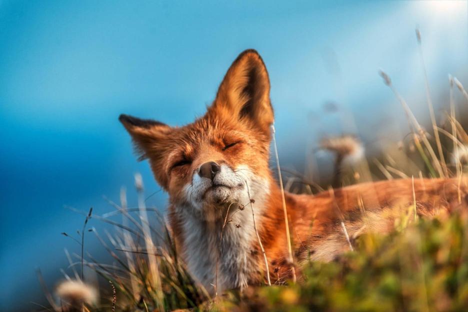 фото img_6902000dbfaa6.jpg