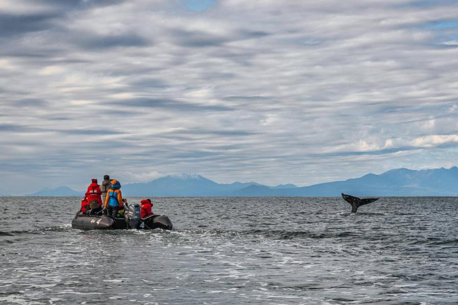 фото img_690200133847a.jpg