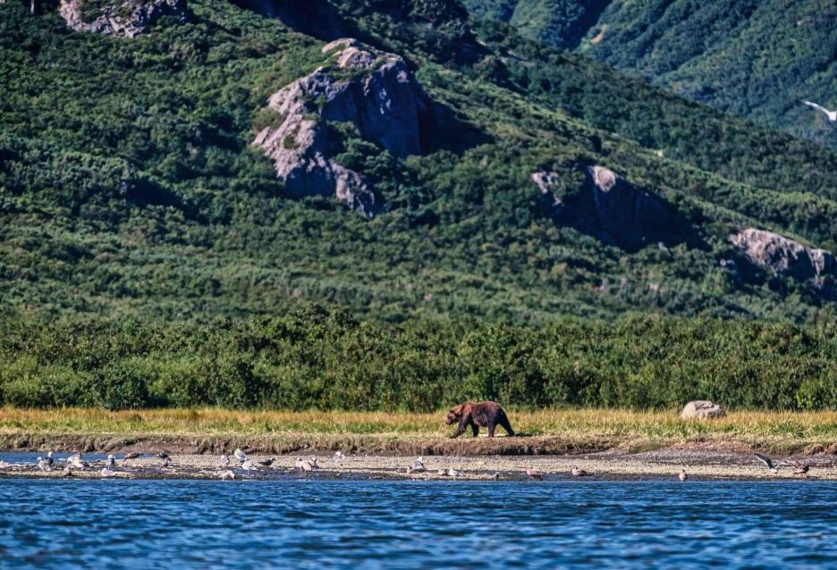 фото img_690200160321e.jpg