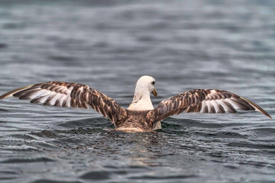 фото img_6902001771251.jpg