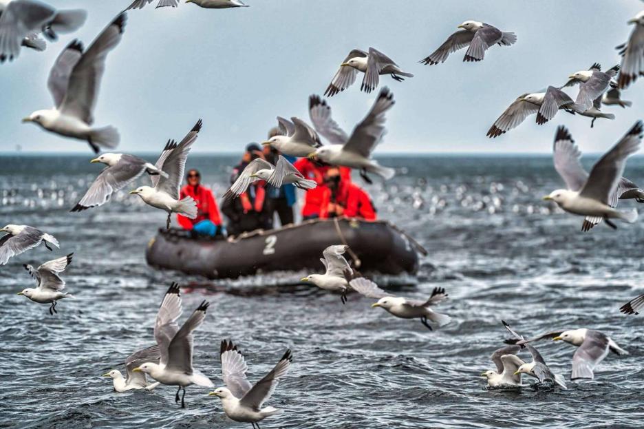 фото img_690200f58867c.jpg