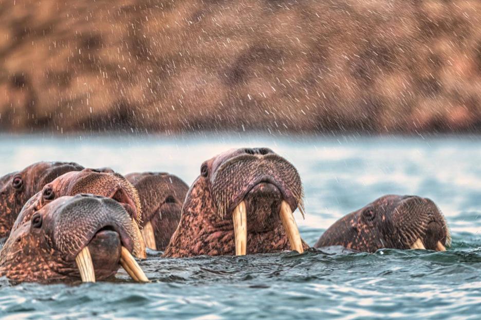 фото img_690200f9b612f.jpg