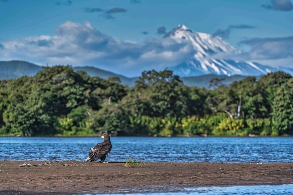 фото img_690200fb1a5fa.jpg