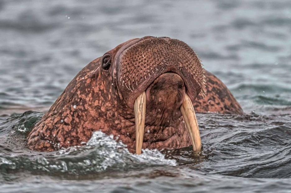 фото img_690200febd013.jpg