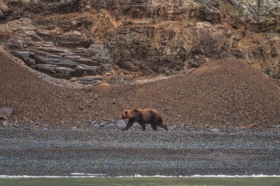 фото img_690200ffc468e.jpg