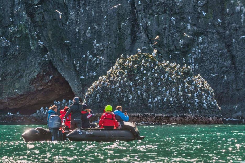 фото img_69020100e2dfe.jpg