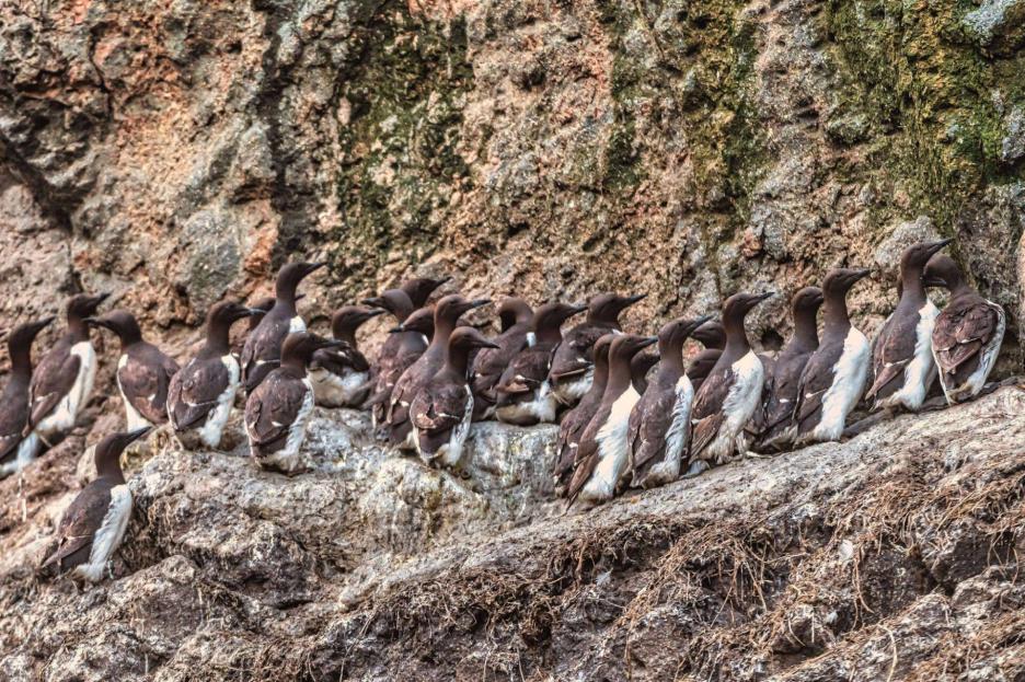 фото img_69020201042ef.jpg