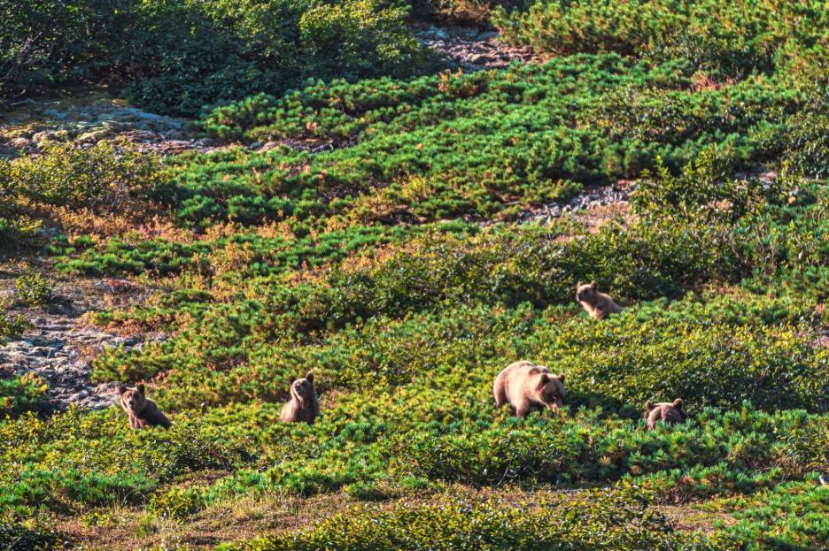 фото img_690202026602c.jpg