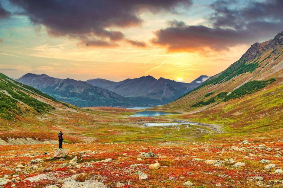 фото img_69020203cc3db.jpg