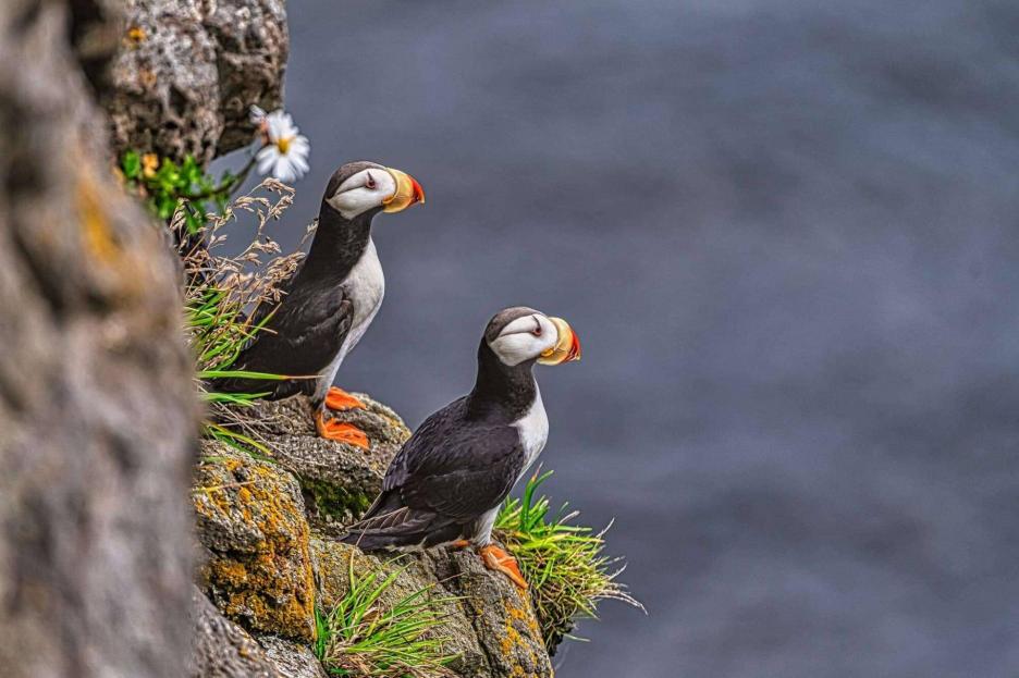 фото img_690202066851a.jpg