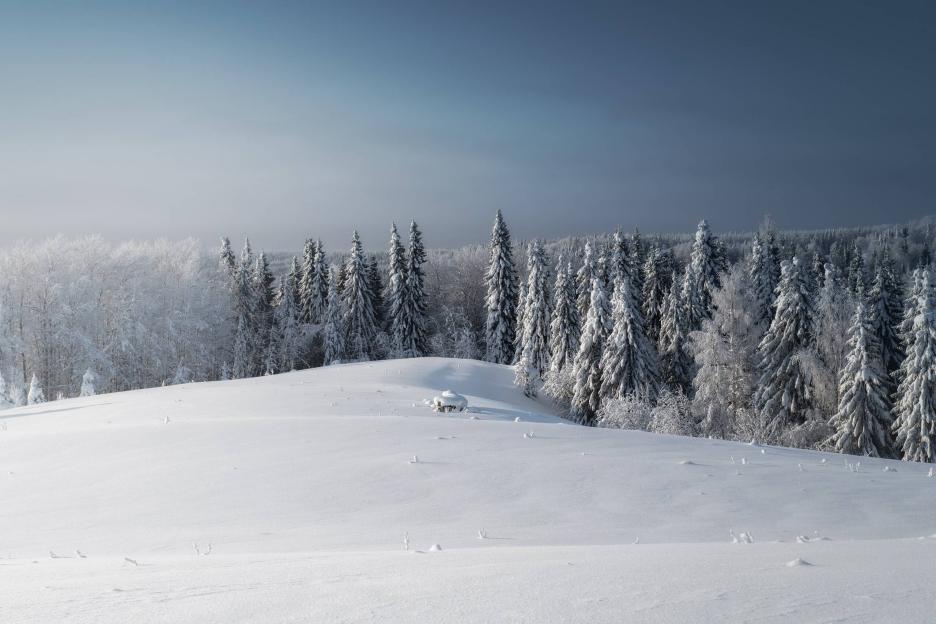 фото img_6902419812c47.jpg