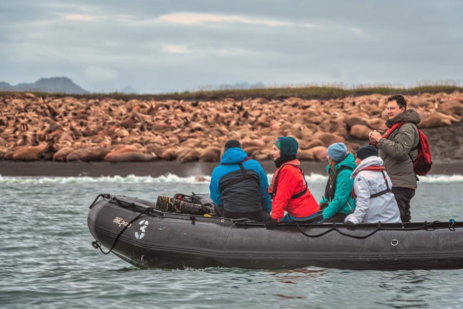 фото img_69038cf9a4bd0.jpg