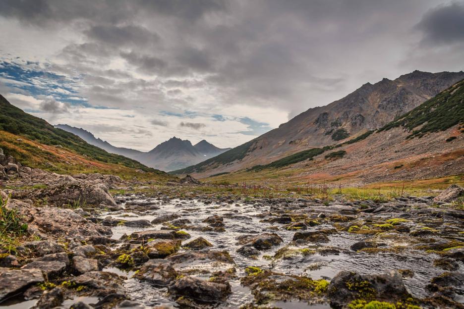 фото img_69038d0042abd.jpg