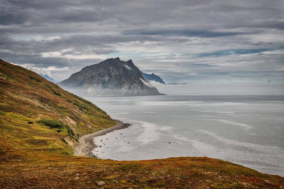 фото img_69038dcfc86eb.jpg