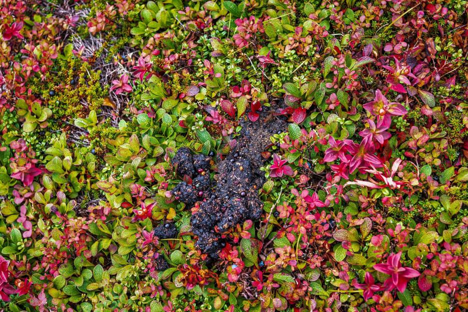 фото img_69038dd417ffc.jpg