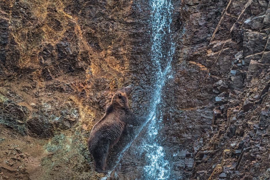 фото img_69038ddb72021.jpg