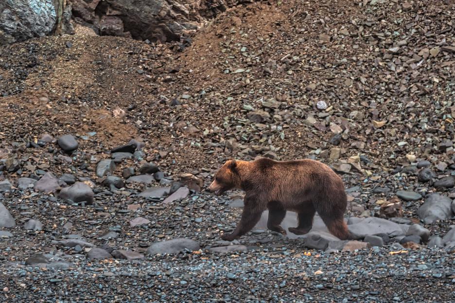 фото img_69038ddd974f4.jpg