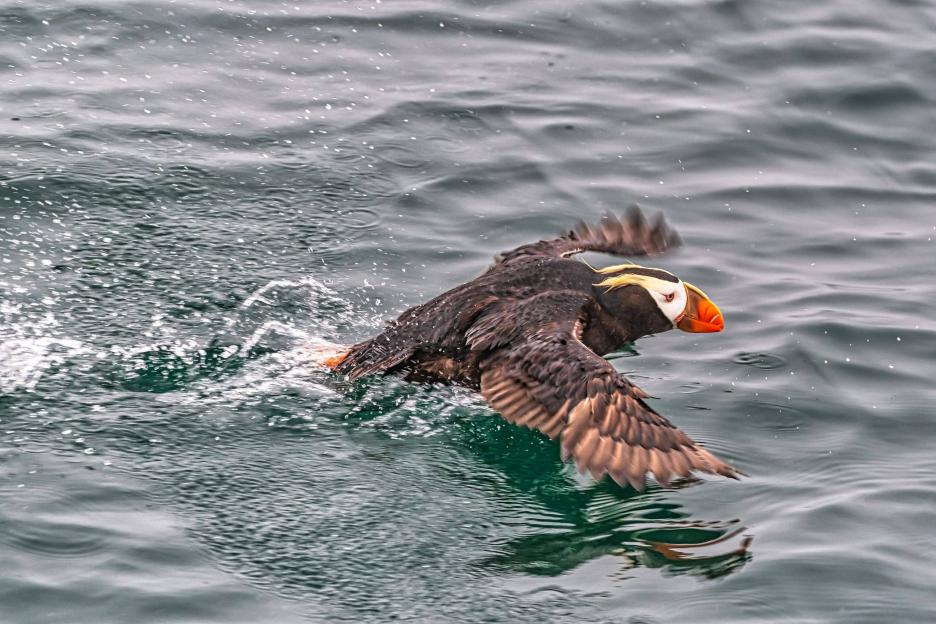 фото img_69038de1418f1.jpg