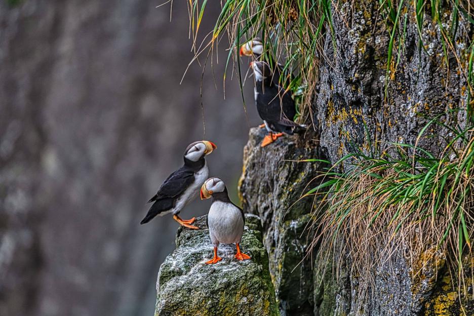 фото img_69046cb44869b.jpg