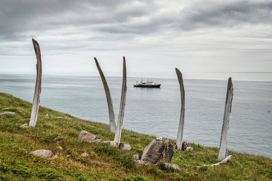 фото img_69046cb67e6e8.jpg