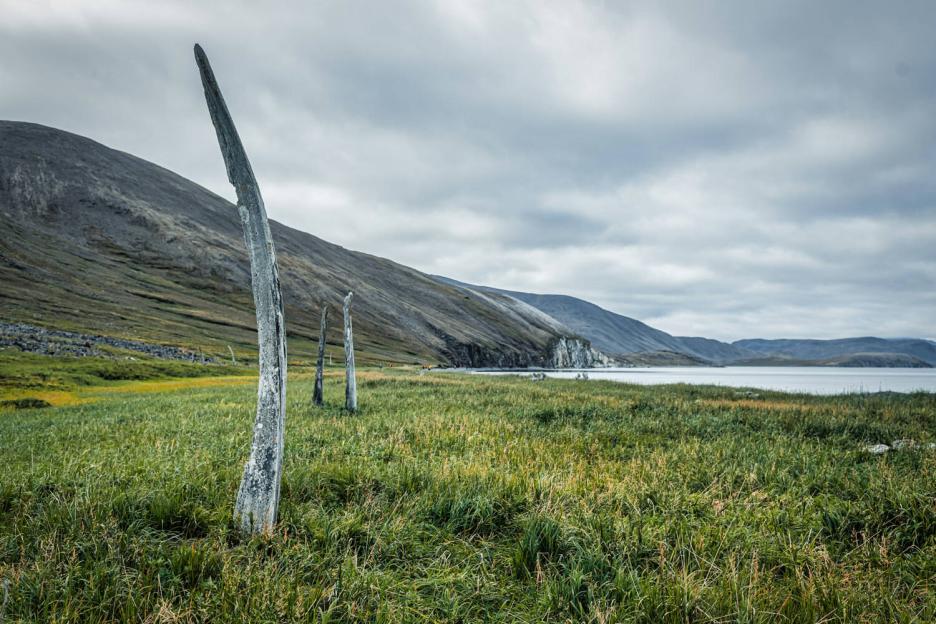 фото img_69046cb7dd1d7.jpg