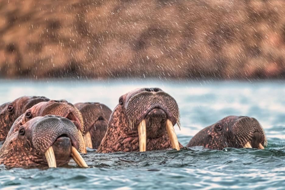 фото img_69046d077012c.jpg