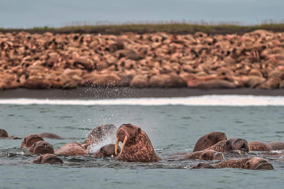 фото img_69046d0ace1ec.jpg