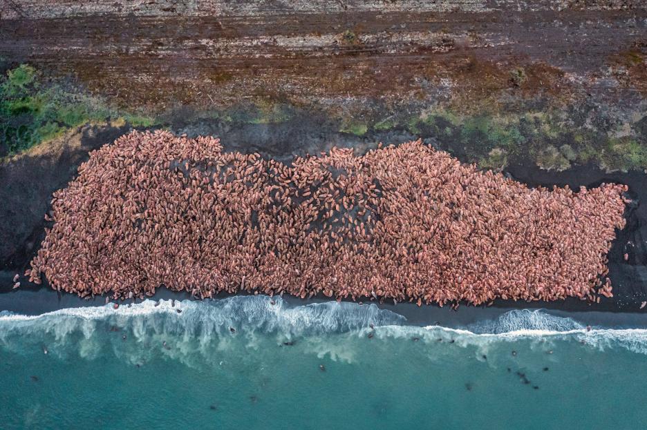 фото img_69046d0c89e6e.jpg