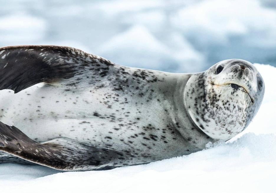 фото img_69060cba9e030.jpg