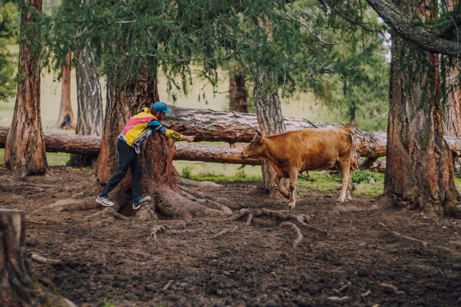 фото img_690a4d81e8cd9.jpg