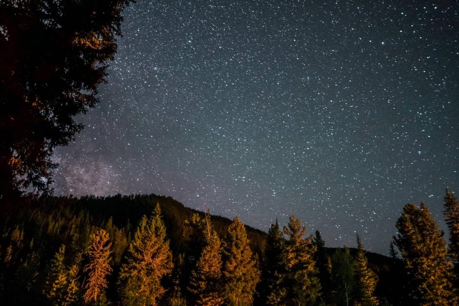 фото img_690a4d83d5d95.jpg