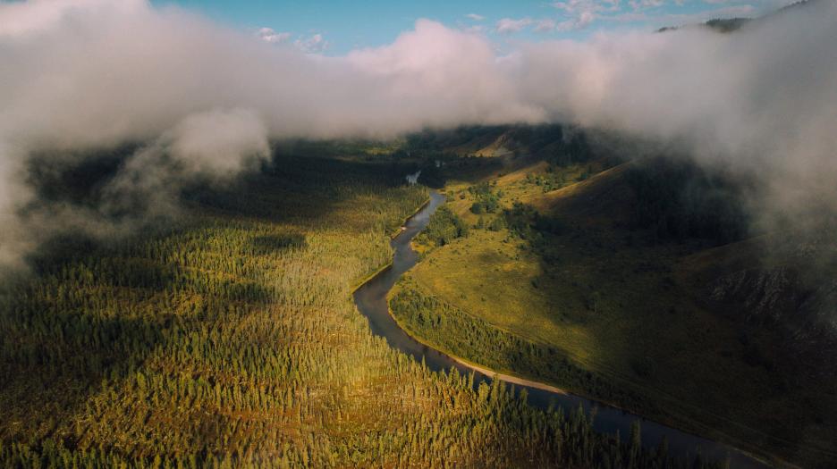 фото img_690a4d85b9fd9.jpg