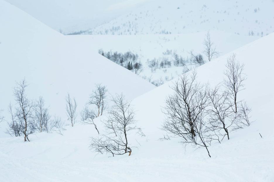 фото img_691186769dad6.jpg