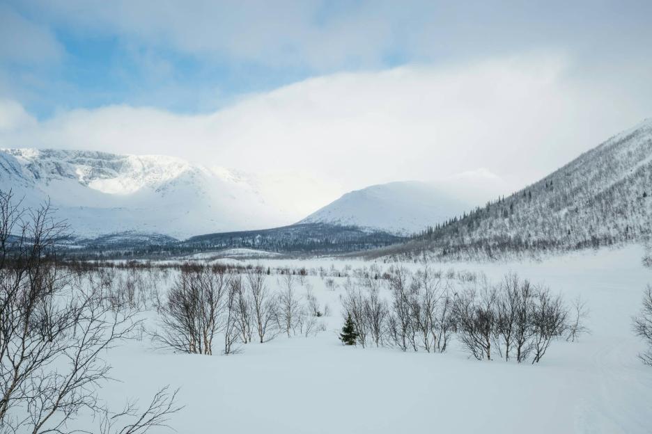 фото img_69118677e83e5.jpg