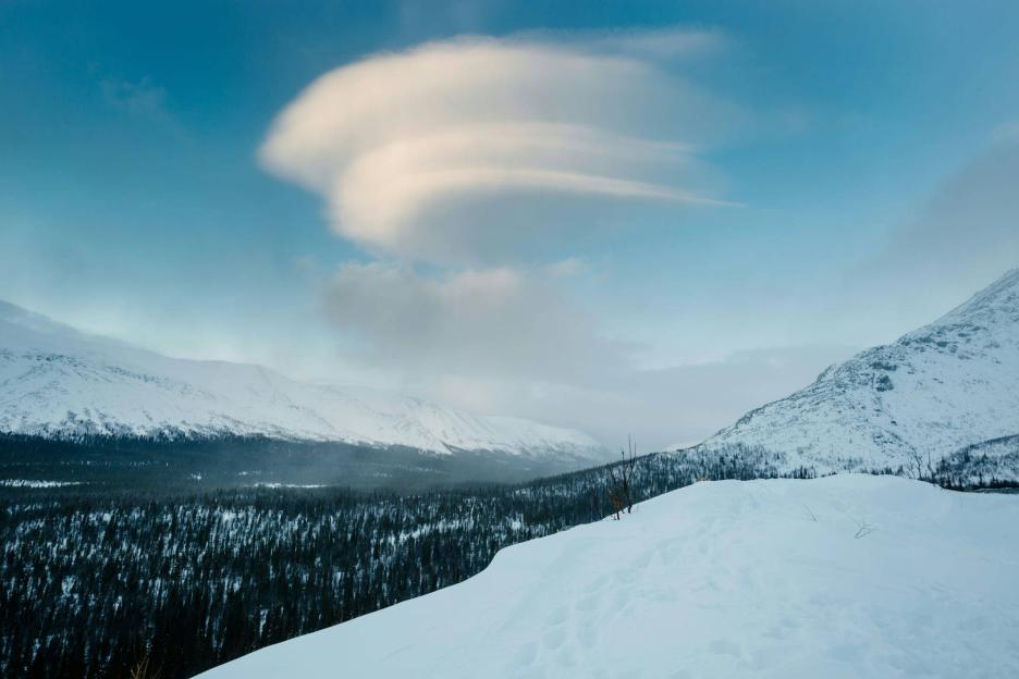 фото img_691186795fa03.jpg