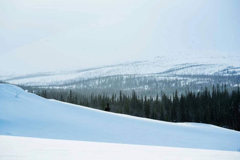 фото img_6911867ad1e9d.jpg