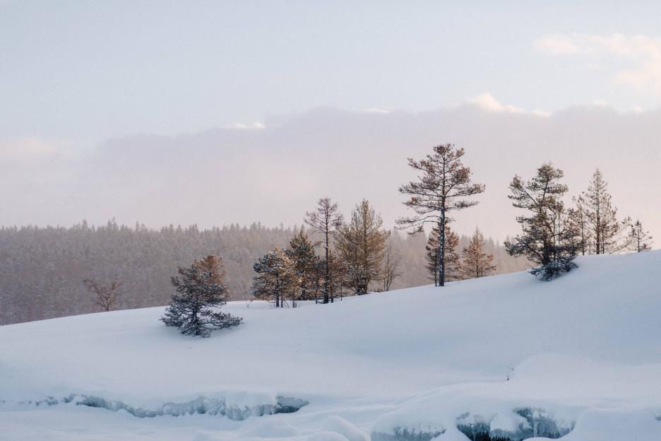 фото img_6914935bf146c.jpg