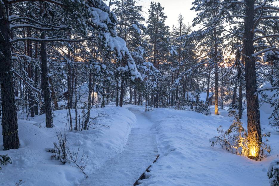 фото img_691498c7a4c88.jpg