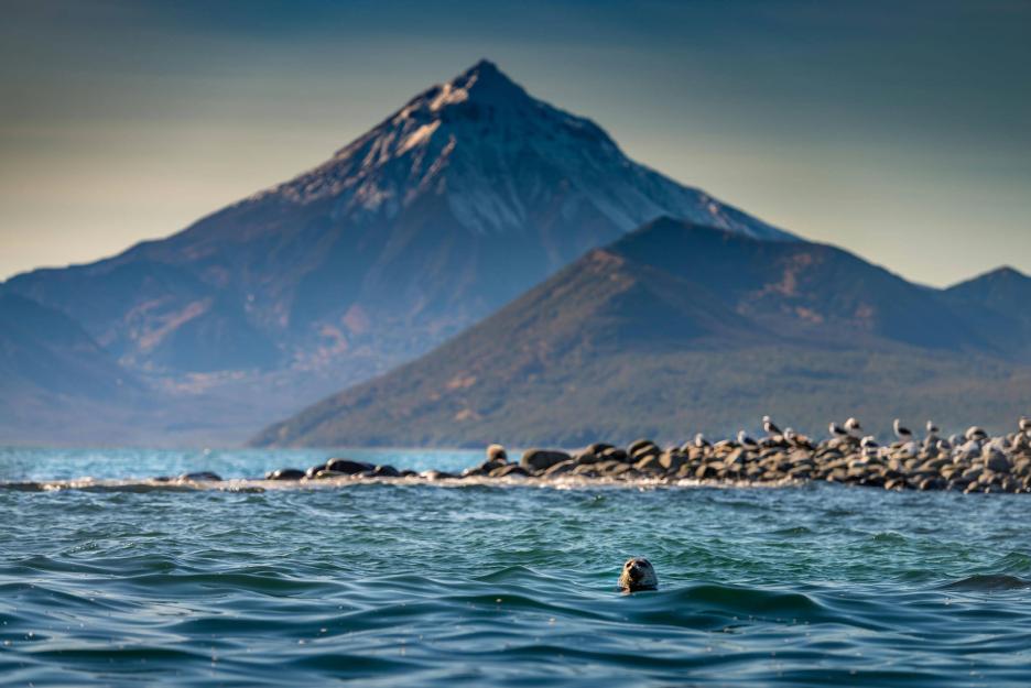 фото img_691ca2bc9315a.jpg