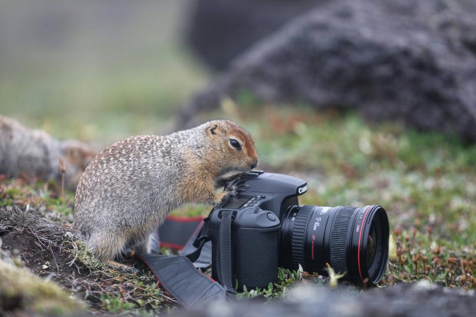 фото img_691daf9746b46.jpg