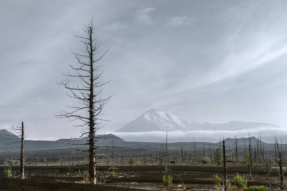 фото img_691daf98beb94.jpg