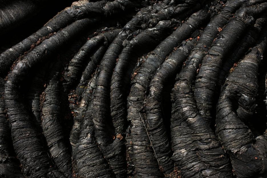 фото img_691db4a2dc175.jpg